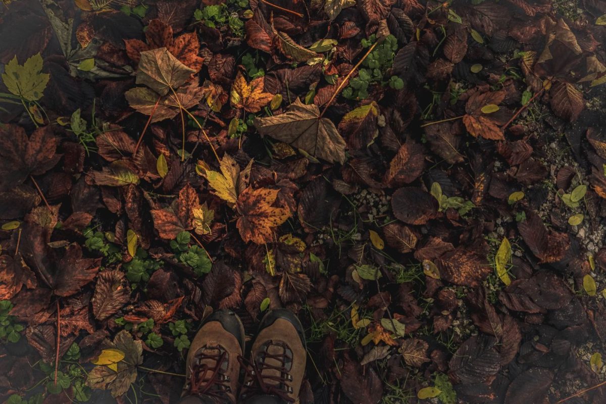 Comparatif des meilleures bottes pour le woodsball