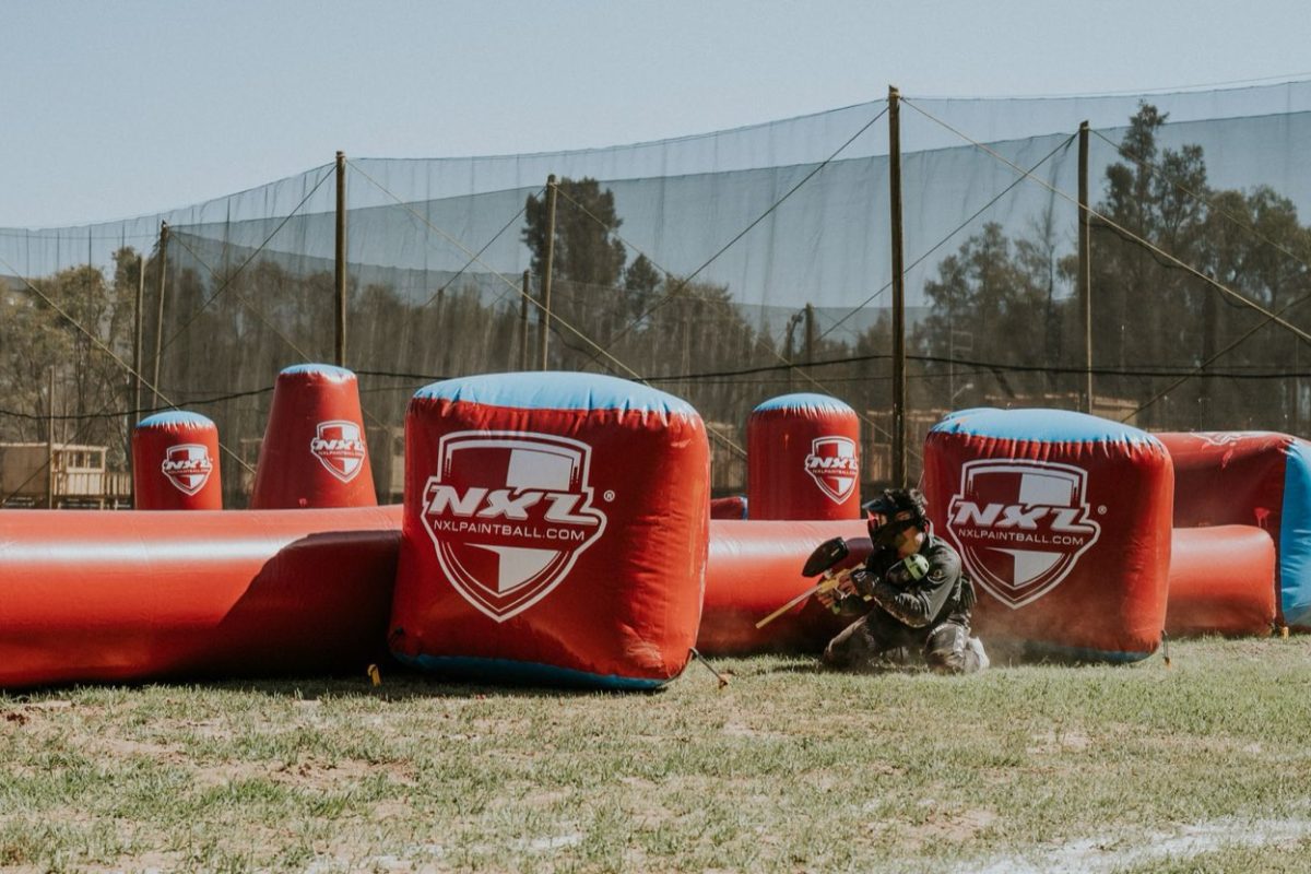 Comparatif protège-poitrine paintball : rembourrage vs coquille